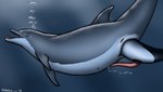 2016 anatomically_correct anatomically_correct_genitalia anatomically_correct_penis animal_genitalia animal_penis animal_pussy bodily_fluids bottlenose_dolphin bubble cetacean cetacean_genitalia cetacean_penis cetacean_pussy commerson's_dolphin cum cum_in_water dolorcin dolphin duo erection female female_pred feral feral_on_feral feral_pred feral_prey genital_fluids genital_slit genitals head_first larger_female larger_pred male male/female male_prey mammal mammary_slits marine oceanic_dolphin open_mouth partially_inside penis pussy signature size_difference smaller_male smaller_prey soft_vore tapering_penis toothed_whale unbirthing underwater vaginal vore water willing_prey year