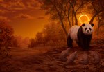 2021 adobe_photoshop_(artwork) alternate_version_at_source ambiguous_gender bamboo_kingdom bear black_body black_fur black_nose book_cover claws cloud cover detailed_background digital_media_(artwork) digital_painting_(artwork) eclipse female_(lore) feral fur giant_panda grass group hi_res johis leaf leaf_slenderwood looking_at_viewer mammal official_art orange_sky orange_theme outside pangolin paws photorealism plant sky snout solar_eclipse standing tree white_body white_fur