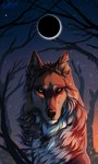 Rating: s
ID: 2845541
Date: 2021-07-24 18:45:20 -0400
Status: active
Score: 27
2021 3:5 ambiguous_gender black_nose brown_body brown_fur canid canine canis detailed_background digital_media_(artwork) eclipse feral fur green_eyes mammal outside sky solo star starry_sky white_body white_fur wolf wolfroad post #2845541