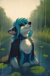 Rating: s
ID: 5546160
Date: 2025-05-03 13:16:21 -0400
Status: active
Score: 17
anthro black_body black_fur black_nose blue_body blue_collar blue_fur blue_hair closed_smile collar day eyes_closed fur grass hair hi_res male mouth_closed mylafox outside partially_submerged plant raining shrub sky smile solo white_body white_fur post #5546160