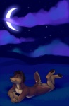 anthro black_hair brown_body brown_fur canid canine casual_nudity cloud demicoeur digital_media_(artwork) digitigrade fur hair lying male mammal moon night nude on_front outside pawpads paws sky smile solo star starry_sky tail teeth white_body white_fur