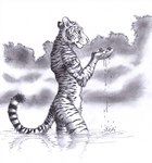 0laffson 2023 anthro clothing felid fur graphite_(artwork) hi_res looking_down male mammal markings monochrome nude outside pantherine partially_submerged pawpads plant reflection signature solo standing standing_in_water striped_body striped_fur striped_markings striped_tail stripes tail tail_markings tiger traditional_media_(artwork) water water_drop wet wet_body wet_fur