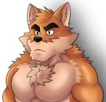 anthro arm_tuft canid canine canis chest_tuft domestic_dog eyebrows facial_tuft fur head_tuft hi_res male mammal multicolored_body multicolored_fur muscular muscular_anthro muscular_male otake pecs rjquaty serious_face shoulder_tuft simple_background solo tuft two_tone_body two_tone_fur