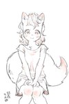 2020 2:3 anthro big_tail blush bottomwear breasts canid canine chest_tuft clothing duochrome female flat_chested fluffy fluffy_tail fox hands_on_knees hands_on_legs hi_res inner_ear_fluff kemono legs_together looking_at_viewer mammal miniskirt pink_eyes pockets shirt shoulder_length_hair sitting sketch skirt small_breasts smile solo t-shirt tail tinted topwear tuft yanamosuda young