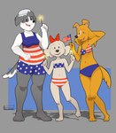 2024 4th_of_july american_flag american_flag_bikini anne_kennel anthro bikini biped bird_dog black_body black_nose breasts brown_body canid canine canis clothed clothing cocker_spaniel collie collie_pitcher countershade_face countershade_torso countershading debruff_sampson digitigrade domestic_dog dot_eyes female flag flag_(object) flag_bikini floppy_ears fluffy_ears front_view group hand_behind_head herding_dog hi_res holding_flag holding_object holidays hunting_dog looking_at_viewer mammal medium_breasts midriff multicolored_body nanuna navel one-piece_swimsuit open_mouth open_smile pastoral_dog pups_of_liberty sheepdog simple_background smile spaniel sparkler standing swimwear trio two-piece_swimsuit two_tone_body united_states_of_america white_body white_countershading young young_anthro young_female