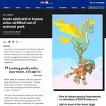 Rating: s
ID: 5523191
Date: 2025-04-22 15:17:18 -0400
Status: active
Score: 8
1:1 annoyed asian_mythology bdsm bodily_fluids bondage bound bovid caprine chinese_mythology dragon duo east_asian_mythology english_text female feral genital_fluids goat humor longma mammal muzzle_(object) muzzled mythological_creature mythological_equine mythological_scalie mythology news news_article news_report prison_uniform prisoner profanity restraints rope rope_bondage rope_harness sb_torchic scalie shanty_(tfh) text them's_fightin'_herds tianhuo_(tfh) urine watersports post #5523191