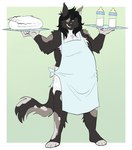 anthro apron baby_bottle black_hair brown_body brown_fur clean_diaper clothed clothing diaper domestic_cat felid feline felis folded_diaper fur green_background hair hi_res male mammal simple_background slusheep smile smirk solo standing wearing_diaper white_background white_body white_fur