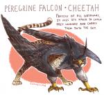 4_toes ambiguous_gender anisodactyl avian avian_feet beak bird cheetah english_text falcon falconid feathered_wings feathers feet felid feline feral gryphon hybrid iguanamouth looking_at_viewer mammal mythological_avian mythological_creature mythology peregrine_falcon quadruped signature simple_background solo standing tail talons text toes wings