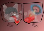 post #5558006