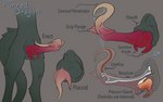 absurd_res animal_genitalia anthro baculum bodily_fluids bone curved_penis diagram digital_media_(artwork) dragon dripping english_text erection flaccid fur furred_dragon furred_scalie genital_fluids genitals gradient hi_res internal internal_testicles knot label leaking_precum male mythological_creature mythological_scalie mythology nubbed_penis penis precum precum_drip precum_on_penis retracted_penis retracted_sheath scalie shaded sheath simple_shading solo standing tail text unusual_anatomy unusual_genitalia unusual_penis urethra vike_mike xray_view