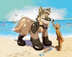 anthro beach canid canine feral hi_res karidas_(rexroyale) male male/male mammal maned_wolf pool_toy straus transformation