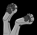 2022 4_toes alpha_channel ambiguous_gender anthro black_claws black_pawpads canid canine canis claws clip_studio_paint_(artwork) cloudpie conditional_dnp curling_toes digital_drawing_(artwork) digital_media_(artwork) domestic_dog feet flat_colors foot_focus foot_shot glistening glistening_body grey_body hindpaw husky konuro_silver machine mammal metallic_body monochrome nordic_sled_dog pawpads paws plantigrade robot robot_anthro simple_background solo spitz toes transparent_background