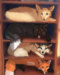 Rating: s
ID: 3624594
Date: 2022-10-13 14:08:58 -0400
Status: active
Score: 86
2022 4:5 black_body black_fur blue_eyes canid canine digital_drawing_(artwork) digital_media_(artwork) feral flashw fox fur mammal marble_fox open_mouth orange_body orange_fur paws red_fox silver_fox tan_body tan_fur teeth tongue true_fox white_body white_fur post #3624594