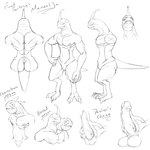 1:1 absurd_res anthro balls blessed final_fantasy final_fantasy_ix final_fantasy_xiv genitals hi_res male mamool_ja model_sheet monochrome nipples nude penis sketch solo square_enix wolfgerlion64