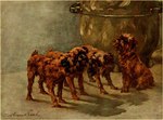 Rating: s
ID: 5552258
Date: 2025-05-06 02:23:36 -0400
Status: active
Score: 0
1910 20th_century ambiguous_gender ancient_art black_nose brown_body brown_fur canid canine canis domestic_dog feet feral fur griffon_bruxellois group mammal maud_earl mouth_closed pottery shaded shadow signature sitting snout soft_shading standing tail toes traditional_media_(artwork) post #5552258