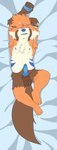 absurd_res ailurid animal_genitalia animal_penis anthro blue_eyes canine_genitalia canine_penis dakimakura dakimakura_design fur genitals hi_res ichirotc knot knotted_penis lying male mammal multicolored_body multicolored_fur nude on_back orange_body orange_fur penis red_panda sheath solo