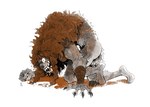 Rating: q
ID: 5548076
Date: 2025-05-04 08:25:03 -0400
Status: active
Score: 22
absurd_res ambiguous_gender anthro arm_armor armlet artwins bent_over bite_mark bodily_fluids braided_hair butt canid canine claws digitigrade drooling fist fur fur_growth growth hair hi_res human kneeling mammal mane mid_transformation mythological_canine mythological_creature mythology nude one_eye_closed open_mouth orange_hair pubes saliva scar sharp_teeth simple_background snout snout_growth solo tail teeth transformation werecanid werecanine werecreature werewolf white_background post #5548076