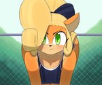 6:5 accessory activision all_fours anthro azumanga_daioh bandicoot blonde_hair blush bow_ribbon breasts cleavage clothed clothing coco_bandicoot crash_bandicoot_(series) day female fur green_eyes hair hair_accessory hair_bow hair_ribbon hi_res lawgx long_hair looking_at_viewer mammal marsupial multicolored_body multicolored_fur outside ribbons solo swimwear tan_body tan_fur two_tone_body two_tone_fur wet