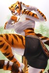 2024 anthro artist_name bandage bottomwear breasts butt clothing cocicka conditional_dnp dreamworks felid female fur hi_res kung_fu_panda mammal master_tigress pantherine shorts simple_background solo stripes tail tiger