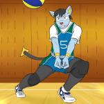 1:1 anthro anthrofied ball clothing fuze generation_4_pokemon gym hi_res inside kai_(fuze) male nintendo pokemon pokemon_(species) pokemorph shinx shirt solo sport t-shirt tank_top topwear volleyball volleyball_(ball)