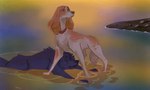Rating: s
ID: 5543009
Date: 2025-05-01 23:45:25 -0400
Status: active
Score: 63
alternate_universe ambiguous_gender belfort_(belfort_and_lupin) belfort_and_lupin bird_dog canid canine canis collar disney domestic_dog duo feral floppy_ears french_spaniel fur fuzzy grey_body grey_fur hi_res hunting_dog looking_away lupin_(belfort_and_lupin) lying male_(lore) malotte mammal on_front orange_body orange_fur outside partially_submerged protecting protective rock sad scared spaniel standing the_fox_and_the_hound water water_ripple wolf post #5543009