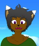 absurd_res anthro black_hair canid canine child clothing dark_body dark_skin digital_media_(artwork) fox green_clothing green_shirt green_topwear hair hi_res male mammal model_sheet purple_eyes redraw shirt sinisterslyfox solo topwear young