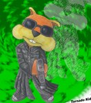 Rating: s
ID: 4854049
Date: 2024-06-15 01:08:09 -0400
Status: active
Score: 5
anthro black_clothing black_eyewear black_glasses black_jacket black_topwear boots clothed clothing conker conker's_bad_fur_day costume eyewear footwear fur glasses gun jacket looking_at_viewer male mammal orange_body orange_fur ranged_weapon rareware rodent sciurid shoes short_ears signature solo the_matrix topwear tornado_kid traditional_media_(artwork) tree_squirrel weapon post #4854049