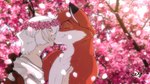 Rating: s
ID: 4039316
Date: 2023-05-07 21:12:16 -0400
Status: active
Score: 42
16:9 2023 alternate_version_at_source anthro canid canine cherry_blossom cherry_blossom_tree cherry_tree claws collarbone countershade_torso countershading digital_drawing_(artwork) digital_media_(artwork) dipstick_ears duo ear_markings eyes_closed flower flower_crown fox fruit_tree hair hi_res human human_on_anthro interspecies jayce_(keycaliber1) kaii_(keycaliber1) keycaliber1 kissing male male/male mammal multicolored_ears petals plant prunus_(flower) romantic romantic_couple signature smile tree white_body white_hair white_skin widescreen post #4039316