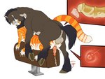 Rating: e
ID: 3688925
Date: 2022-11-13 14:35:46 -0500
Status: active
Score: 135
2022 4:3 absurd_res aggressive_breeding aggressive_fertilization aggressive_humping anthro asphyxiation balls bodily_fluids breeding_mount breeding_stand choking claws cum cum_in_pussy cum_in_uterus cum_inside domestic_cat duo ejaculation equid equid_taur equine equine_taur eyes_closed felid felid_taur feline feline_taur felis from_behind_position genital_fluids genitals hands_around_neck hi_res hooves horse humping hybrid impregnation internal internal_vaginal intersex intersex/male intersex_penetrated intersex_taur interspecies kevira065 knot leaking_cum looking_pleasured male male_on_top male_penetrating male_penetrating_intersex male_penetrating_maleherm male_taur maleherm maleherm/male maleherm_penetrated maleherm_taur mammal mammal_taur mounting on_top orgasm_face ovum pantherine penetration penile penile_penetration penis penis_in_pussy pushing_in quadruped raised_tail rear_view sackless sex size_difference sona_(kevira065) sperm_cell striped_body stripes tail taur taur_on_taur taur_penetrated taur_penetrating taur_penetrating_taur tearing throbbing throbbing_balls tiger trans_(lore) trans_man_(lore) uterus vaginal vaginal_penetration x-ray_view post #3688925
