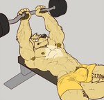 2017 5_fingers abs anthro armpit_hair barbell biceps big_muscles bird_dog black_claws black_nose black_pawpads bodily_fluids body_hair bottomwear brown_nipples bulge canid canine canis chase_(retriever) claws clothed clothing domestic_dog exercise fingers fur golden_retriever green_eyes happy_trail humanoid_hands hunting_dog male mammal muscular muscular_anthro muscular_male nightterror nipples pawpads pecs retriever shorts solo sweat topless vein veiny_muscles weightlifting workout yellow_body yellow_fur