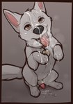 ahegao animal_genitalia animal_penis balls bodily_fluids bolt_(bolt) bolt_(film) canid canine canis clyde_wolf collar cum cum_from_mouth cum_in_mouth cum_inside cum_on_arm cum_on_belly cum_on_body cum_on_ground digital_media_(artwork) disney domestic_dog erection feral fur genital_fluids genitals german_shepherd herding_dog hi_res looking_at_viewer looking_pleasured male mammal nude open_mouth pastoral_dog penile penis sheath simple_background smile solo tail white_body white_fur