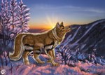 Rating: s
ID: 3693514
Date: 2022-11-15 21:27:09 -0500
Status: active
Score: 12
2022 ambiguous_gender black_nose brown_body brown_fur canid canine canis day detailed_background digital_media_(artwork) digital_painting_(artwork) feral flashw fur mammal orange_eyues outside painting_(artwork) sky smile snow solo standing post #3693514
