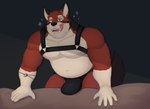 absurd_res acario_(artist) anthro belly better_version_at_source bulge canid canine canis echo_(game) echo_(series) echo_project fur hi_res leo_alvarez male mammal red_body red_fur solo wolf