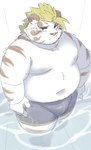 2024 absurd_res anthro belly big_belly blush bottomwear clothing felid hi_res kemono licho_(tas) lifewonders male mammal moobs navel nipples overweight overweight_male pantherine ptcmtr shorts solo swimwear tiger tokyo_afterschool_summoners white_body