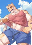 2024 abs anthro belt blue_bottomwear blue_clothing blue_eyes blue_shorts bottomwear brown_body brown_fur brown_stripes bulge clothed clothing clothing_lift cloud countershade_arms countershade_face countershade_legs countershade_torso countershading dipstick_tail felid fur hi_res male mammal markings morenatsu multicolored_body multicolored_fur muscular muscular_anthro muscular_male navel one_eye_closed pantherine pecs pink_nose poteto02888292 red_clothing red_shirt red_tank_top red_topwear shirt shirt_lift shorts sky solo striped_body striped_fur stripes tail tail_markings tan_body tan_countershading tan_fur tank_top tank_top_lift tiger topwear torahiko_(morenatsu) yellow_body yellow_fur