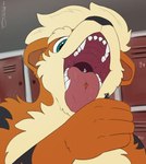 Rating: q
ID: 4123868
Date: 2023-06-21 15:28:02 -0400
Status: active
Score: 4
2022 5_fingers absurd_res ambiguous_gender ambiguous_prey ambiguous_species canid canine canis domestic_dog fingers fur generation_1_pokemon grasped green_eyes growlithe hi_res holding_character humanoid_hands imminent_oral_vore imminent_vore locker_room male male_pred mammal micro micro_in_hand micro_on_tongue nintendo on_tongue orange_body orange_fur pokemon pokemon_(species) suddendraft teeth tongue tongue_out white_body white_fur post #4123868