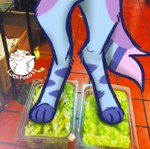 ambiguous_gender anthro barefoot blue_body blue_fur burger_king_foot_lettuce canid canine cheek_tuft facial_tuft feet food fox fur humor lettuce luckfoxo33 male mammal meme paws plant solo striped_body striped_fur stripes text tolng trans_(lore) trans_man_(lore) tuft vegetable yellow_body yellow_fur