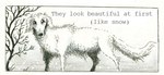 ambiguous_gender borzoi canid canine canis comic domestic_dog english_text feral floppy_ears fur hunting_dog mammal plant quadruped sighthound solo sparrowlucero tail text white_body white_fur