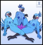 anthro anthrofied avian avian_feet beak bia_(rio) big_breasts bird black_border blue_body blue_feathers blue_sky_studios blush border breasts butt carla_(rio) darkmaro_(artist) daughter_(lore) digital_media_(artwork) dildo feathers female female/female genitals group group_sex hi_res incest_(lore) jewel_(rio) macaw mother_(lore) mother_and_child_(lore) mother_and_daughter_(lore) neotropical_parrot nipples non-mammal_breasts non-mammal_nipples nude open_mouth parent_(lore) parent_and_child_(lore) parent_and_daughter_(lore) parrot penetration pussy rio_(series) sex sex_toy sibling_(lore) simple_background sister_(lore) sisters_(lore) smile spix's_macaw tail threesome tongue trio triple_dildo true_parrot vaginal vaginal_penetration