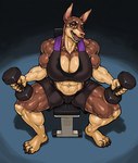 Rating: q
ID: 5562890
Date: 2025-05-10 17:23:14 -0400
Status: active
Score: 30
abs anthro big_breasts bodily_fluids bottomwear bra breasts brown_body brown_eyes brown_fur canid canine canis clothing dobermann domestic_dog exercise female fur hi_res huge_breasts mammal muscular muscular_anthro muscular_female pinscher ser_halo shorts solo sports_bra sweat thick_thighs tracy_porter underwear weightlifting weights wide_hips workout post #5562890