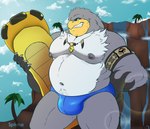 albatross anthro areola armband avian beak belly big_belly bird blue_clothing blue_eyes blue_speedo blue_swimwear blue_underwear bulge clothed clothing digital_media_(artwork) extreme_gear feathers grey_body jewelry looking_at_viewer male musclegut muscular muscular_male narrowed_eyes navel necklace nipples outside overweight overweight_male pecs procellariiform sega sinfulspikes smile smirk solo sonic_riders sonic_the_hedgehog_(series) speedo storm_the_albatross swimwear thick_thighs topless underwear waterfall white_body white_feathers