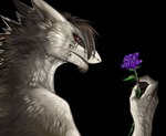 Rating: s
ID: 5577178
Date: 2025-05-16 18:06:13 -0400
Status: active
Score: 4
2011 claws drawain ears_back flower fur hair looking_at_viewer male pivoted_ears plant red_eyes sergal skaith solo post #5577178