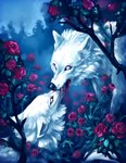 absurd_res ambiguous_gender bite black_lips black_nose blood bodily_fluids canid canine canis duo feral flower fur hi_res lips lycanium mammal night no_pupils outside plant rose_(flower) sky white_body white_fur wolf