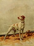 Rating: e
ID: 5552208
Date: 2025-05-06 01:52:02 -0400
Status: active
Score: 1
1910 20th_century ancient_art animal_genitalia balls bird_dog brown_body brown_fur brown_nose brown_spots canid canine canis collar domestic_dog english_pointer feet feral floppy_ears full-length_portrait fully_sheathed fur genitals grass hunting_dog male mammal markings maud_earl multicolored_body multicolored_fur outside plant portrait shaded shadow sheath signature snout solo spots spotted_body spotted_fur standing tail three-quarter_view toes traditional_media_(artwork) two_tone_body two_tone_fur white_body white_fur wide_stance post #5552208