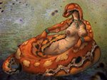 Rating: e
ID: 2611437
Date: 2021-02-12 04:15:00 -0500
Status: active
Score: 58
2021 4:3 5_fingers anthro apode areola blood_python breasts caribou_(artist) draconcopode female fingers genitals legless naga nipples non-mammal_breasts python python_(genus) reptile scalie serpentine snake solo vulva post #2611437