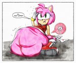 abdominal_bulge amy_rose anthro anthro_pred belly big_belly bodily_noises clothed clothing clothing_around_one_leg dialogue digestion duo english_text eulipotyphlan fatal_vore female fully_inside hedgehog hi_res impregnation killboo mammal navel onomatopoeia oral_vore ovum panties panties_around_one_leg panties_down partially_clothed rumbling rumbling_stomach same_size_vore sega sonic_the_hedgehog_(series) sound_effects speech_bubble sperm_cell text underwear underwear_around_one_leg underwear_down vore weight_gain