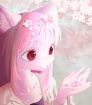 post #5581482