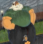 2020 abel_morrales anthro beard belly big_belly big_bulge bottomwear bulge clothing crossed_arms duo facial_hair felid fur grey_hair hair hand_on_hip hi_res hiding_from_rain hoodie huge_belly huge_bulge huge_muscle light_source lion male mammal mc_morrales musclegut muscular mustache orange_body orange_fur outside pantherine pants raining shirt size_difference smile topwear