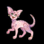 1:1 alpha_channel ambiguous_gender bingus domestic_cat ear_piercing felid feline felis feral furgonomics furry-specific_piercing gold_(metal) gold_tooth hairless hairless_cat hi_res jewelry mammal piercing solo some-bunny sphynx_(cat) tail tail_piercing