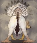 Rating: e
ID: 5598112
Date: 2025-05-25 18:29:52 -0400
Status: active
Score: 28
anus avian balls beak big_anus brown_anus brown_balls brown_body brown_fart_cloud brown_fur butt erection european_mythology fart fart_cloud fart_fetish faux_gaping feral fur genitals greek_mythology green_eyes hi_res hippogriff male mythological_avian mythological_creature mythology onomatopoeia penis perineum presenting presenting_anus puffy_anus raised_tail solo sound_effects tail teavern text white_body white_fur post #5598112
